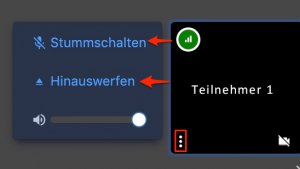 Teilnehmer stummschalten oder entfernen